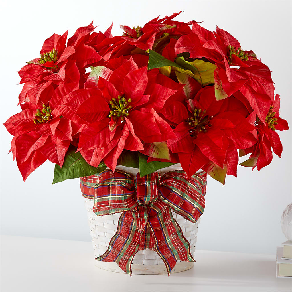 Happiest Holidays Poinsettia – C & D FLORAL LTD, Pincher Creek AB