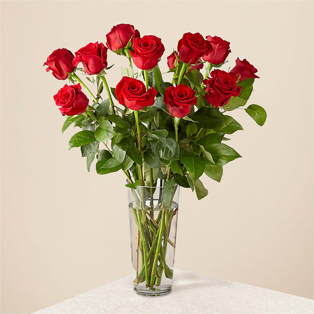 Long Stem Red Rose Bouquet – C & D FLORAL LTD, Pincher Creek AB