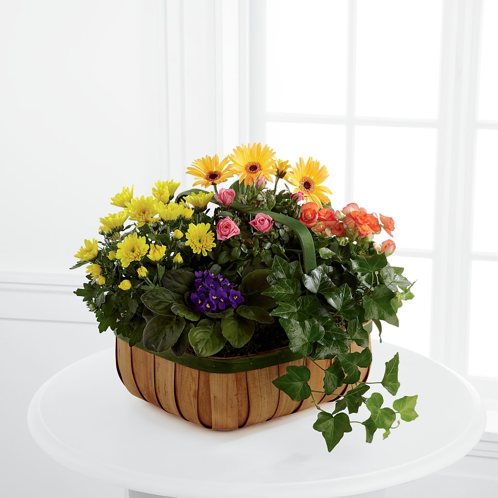 Gentle Blossoms Basket – C & D FLORAL LTD, Pincher Creek AB