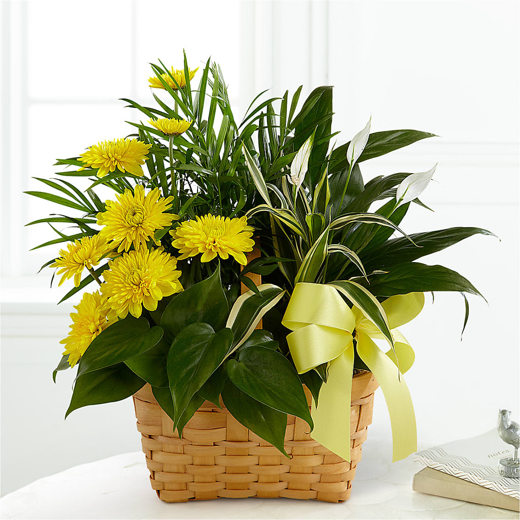 Loving Light Dishgarden – C & D FLORAL LTD, Pincher Creek AB