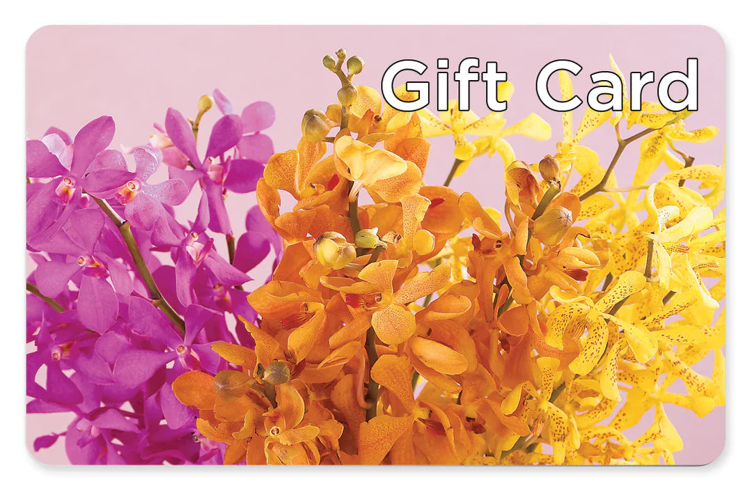 Gift Card – C & D FLORAL LTD, Pincher Creek AB