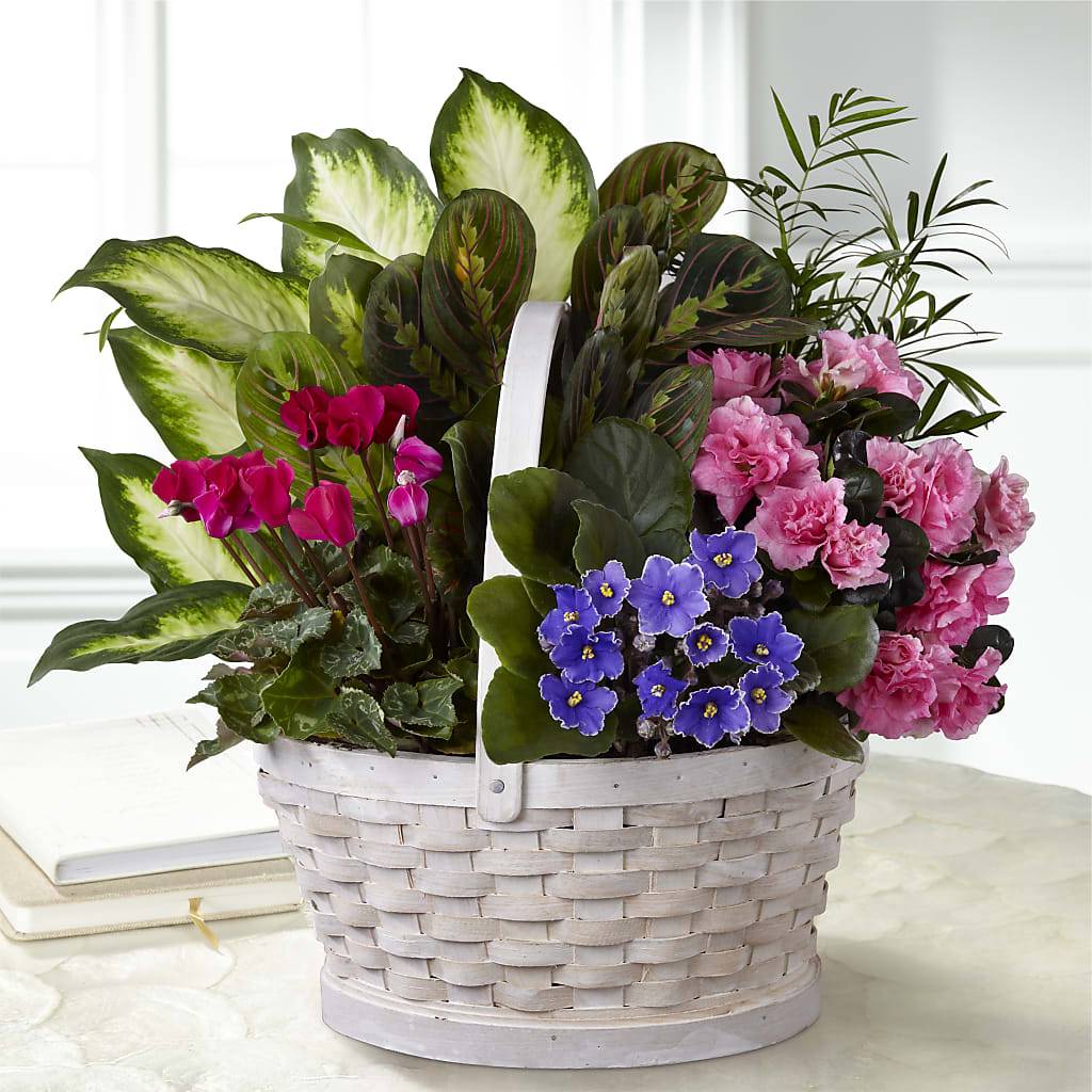Peaceful Garden Planter – C & D FLORAL LTD, Pincher Creek AB