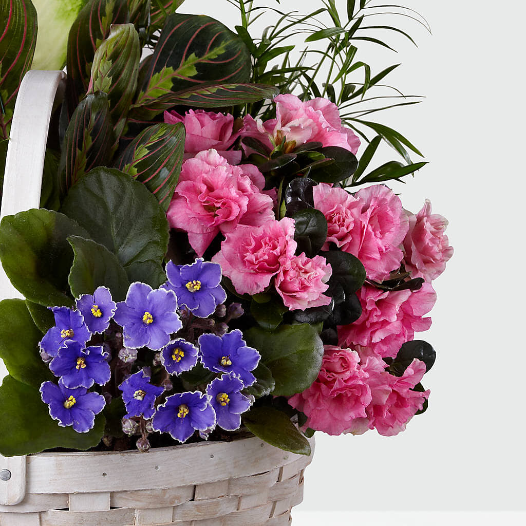 Peaceful Garden Planter – C & D FLORAL LTD, Pincher Creek AB