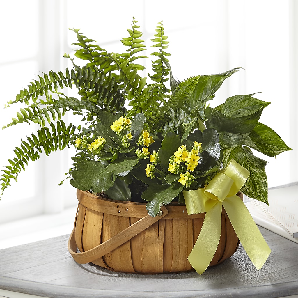 Always Dear Dishgarden – C & D FLORAL LTD, Pincher Creek AB