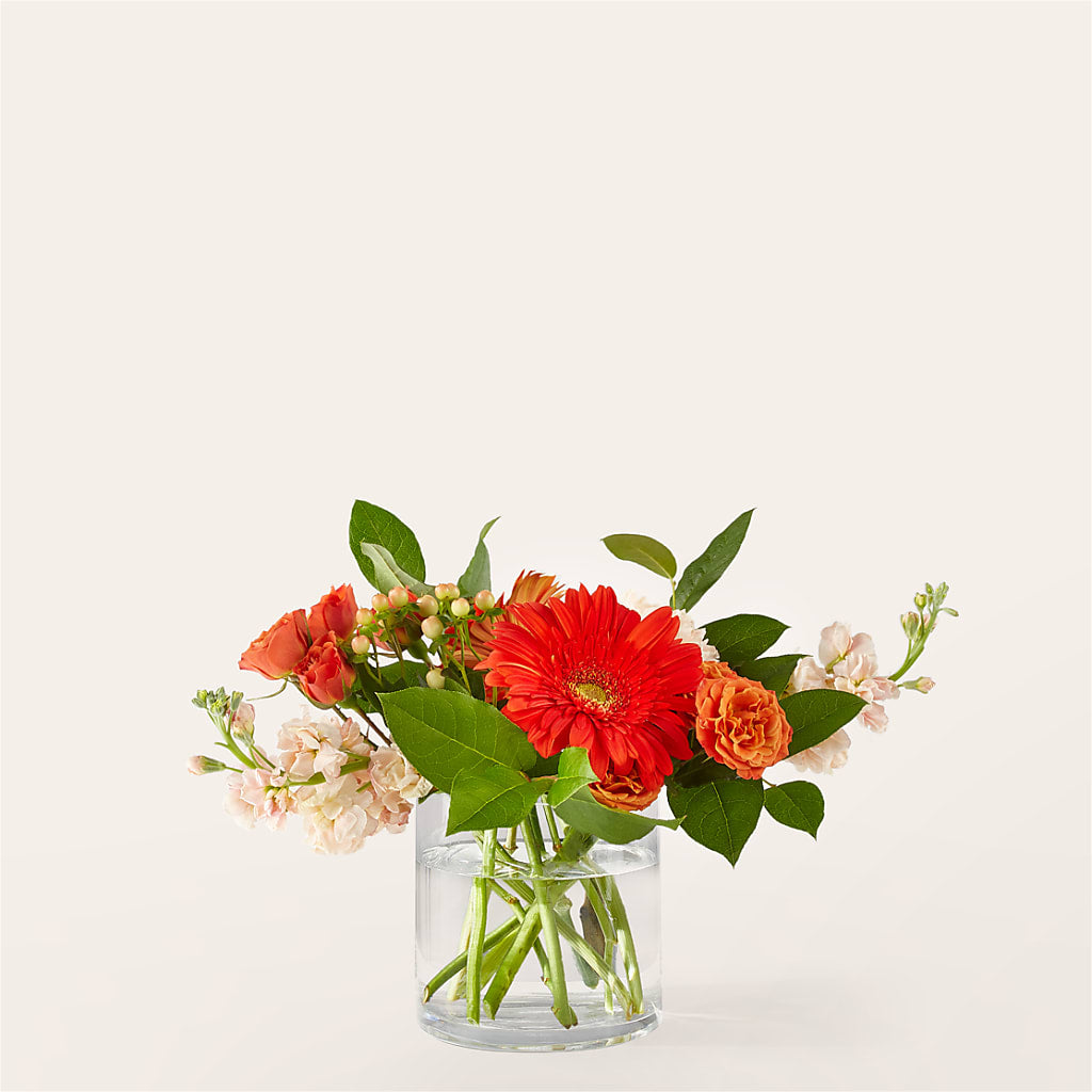 Paloma Please Bouquet – C & D FLORAL LTD, Pincher Creek AB