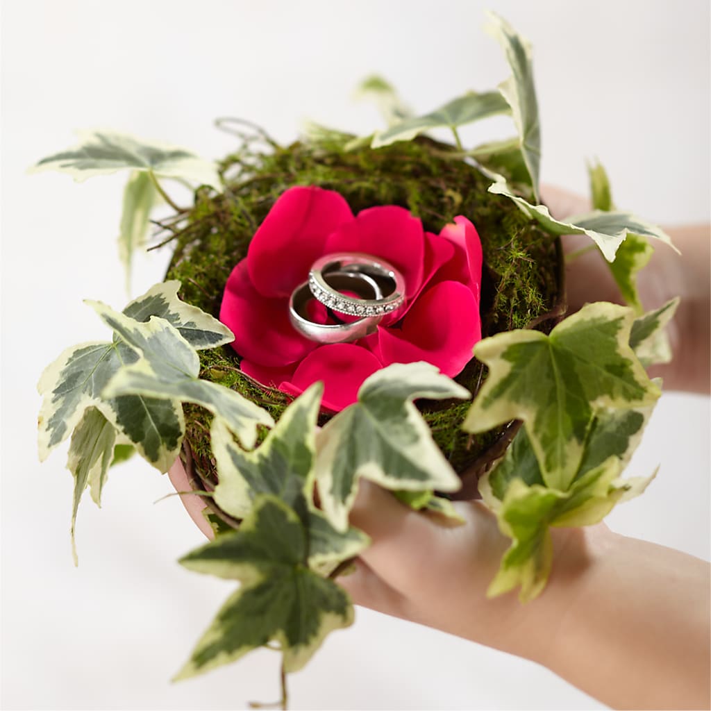 Lila Rose Ring Nest – C & D FLORAL LTD, Pincher Creek AB