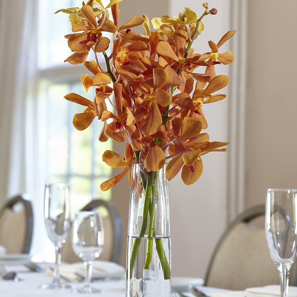 Orange Mokara Bud Vase – C & D FLORAL LTD, Pincher Creek AB