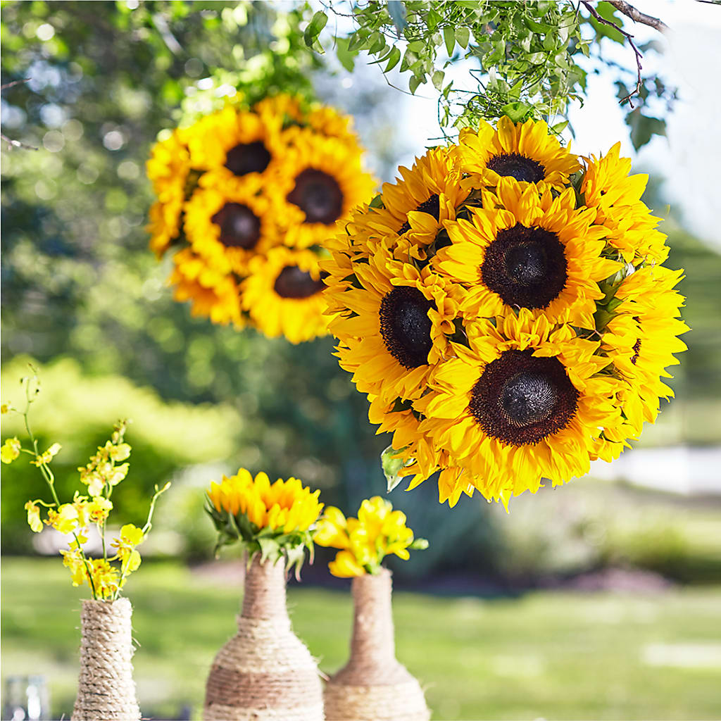 Sublime Garden Hanging Arrangement – C & D FLORAL LTD, Pincher Creek AB