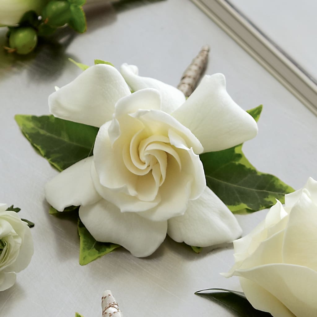 Gardenia Boutonniere – C & D FLORAL LTD, Pincher Creek AB