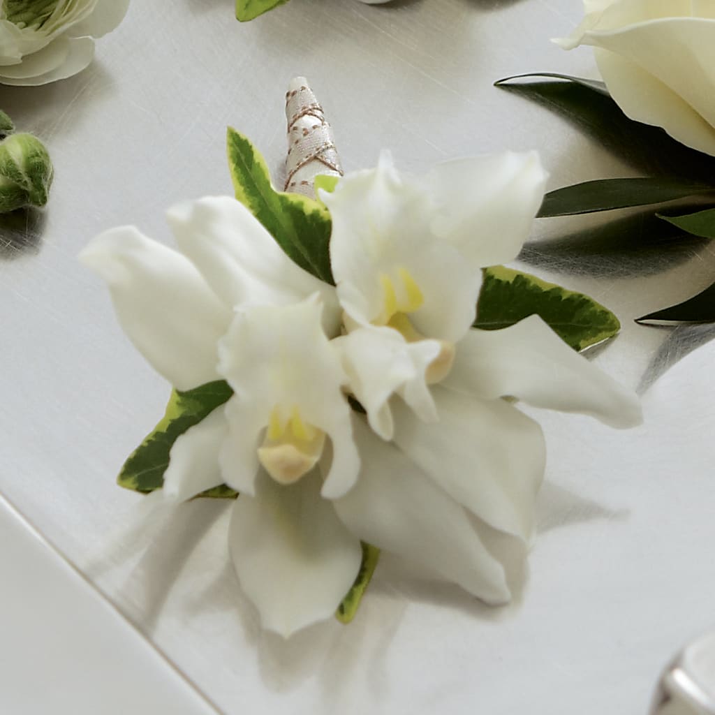 White Mini Cymbidium Boutonniere – C & D FLORAL LTD, Pincher Creek AB