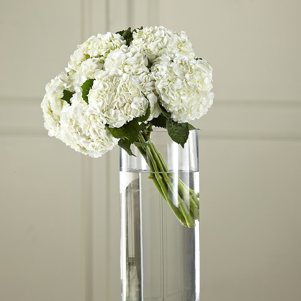 White Hydrangea Hand-Tied Bouquet – C & D FLORAL LTD, Pincher Creek AB