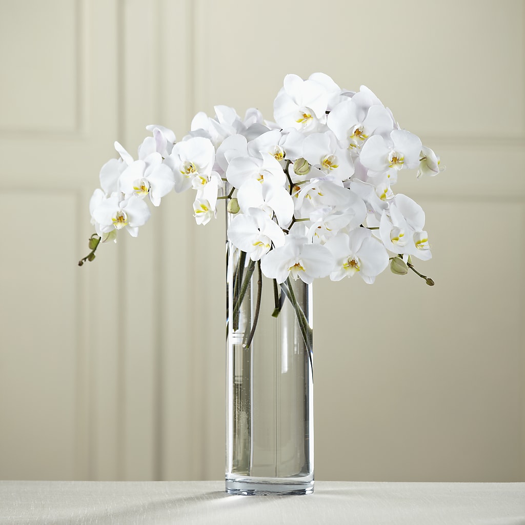 White Phalaenopsis Bouquet – C & D FLORAL LTD, Pincher Creek AB