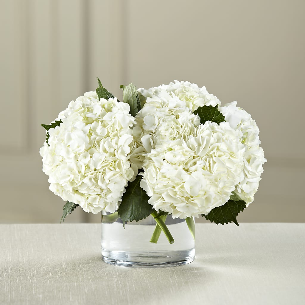 White Hydrangea Bouquet – C & D FLORAL LTD, Pincher Creek AB