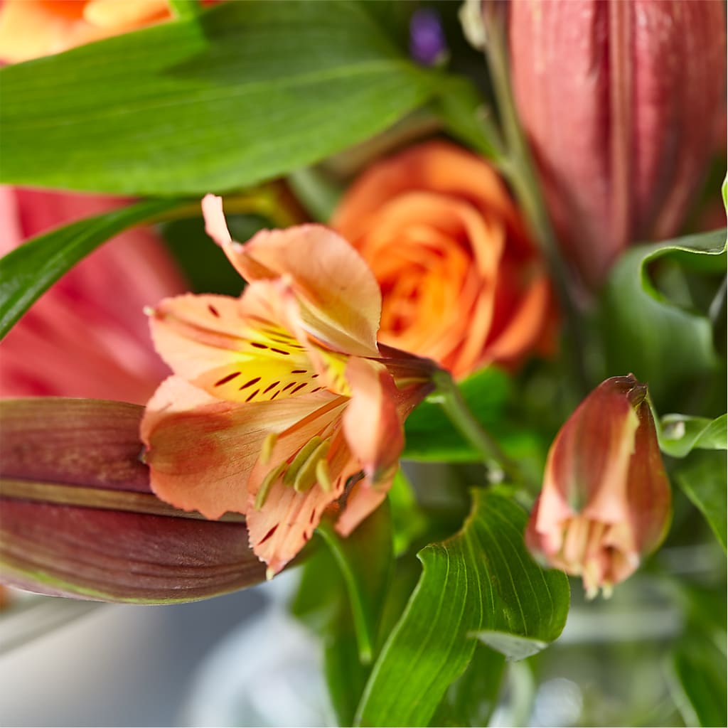 Bold & Bright – A Florist Original – C & D FLORAL LTD, Pincher Creek AB