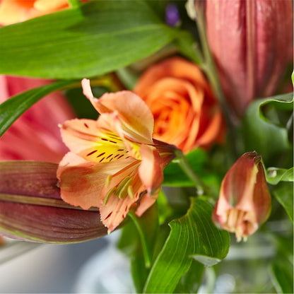 Bold & Bright – A Florist Original – C & D FLORAL LTD, Pincher Creek AB