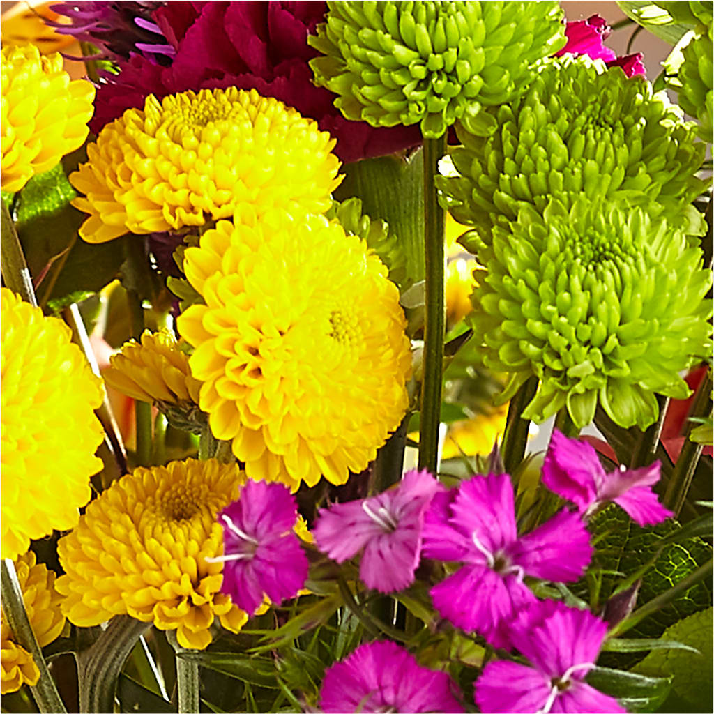 Bold & Bright – A Florist Original – C & D FLORAL LTD, Pincher Creek AB