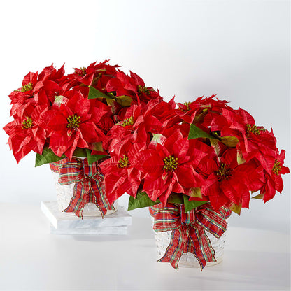 Happiest Holidays Poinsettia Bundle – C & D FLORAL LTD, Pincher Creek AB