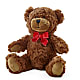 Adorable Plush Bear – C & D FLORAL LTD, Pincher Creek AB