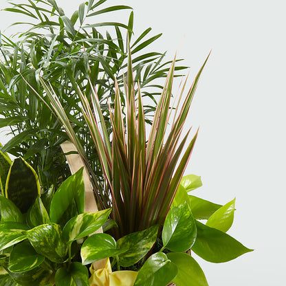 French Garden – C & D FLORAL LTD, Pincher Creek AB