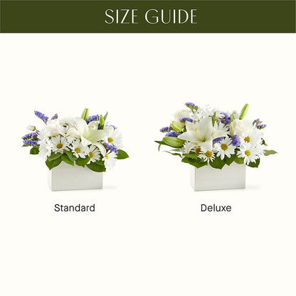 Beyond Blue Box Bouquet – C & D FLORAL LTD, Pincher Creek AB