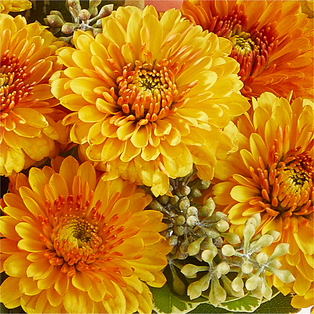 Peachy Pumpkin – C & D FLORAL LTD, Pincher Creek AB