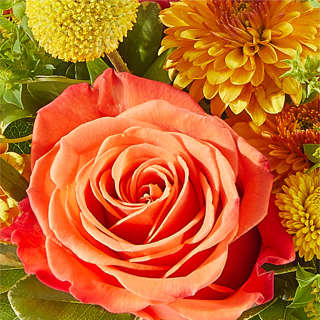Gourdgeous Pumpkin – C & D FLORAL LTD, Pincher Creek AB