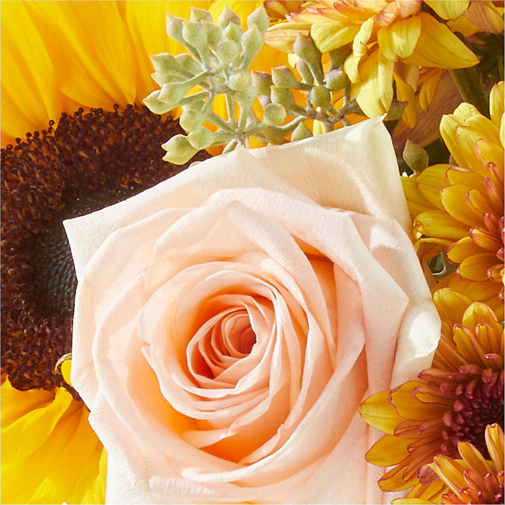 Pumpkin to Talk About Bouquet – C & D FLORAL LTD, Pincher Creek AB