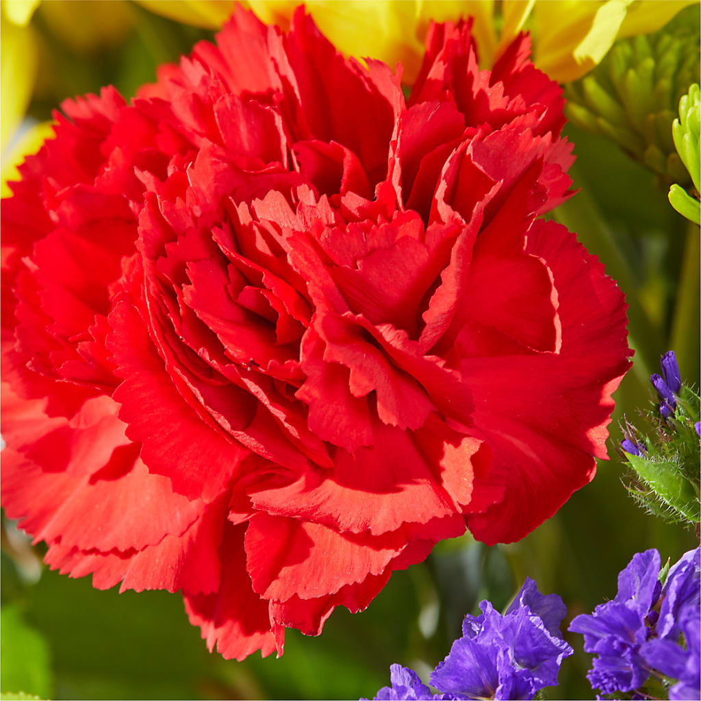Brighter Days Bouquet – C & D FLORAL LTD, Pincher Creek AB