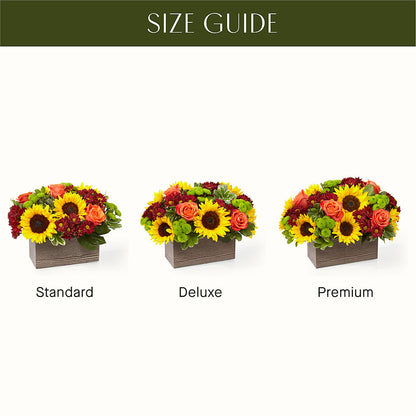 Happy Harvest Garden – C & D FLORAL LTD, Pincher Creek AB