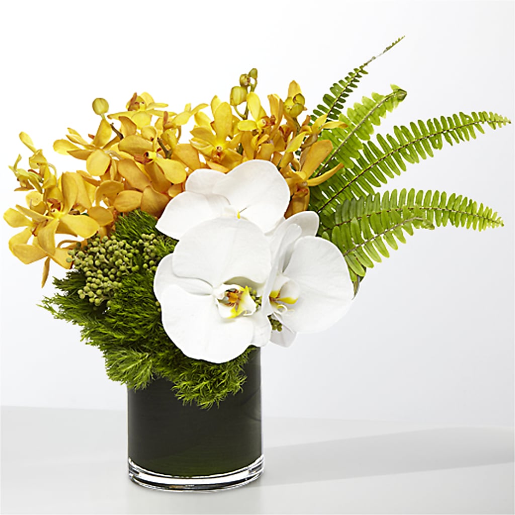 The Tropics – C & D FLORAL LTD, Pincher Creek AB