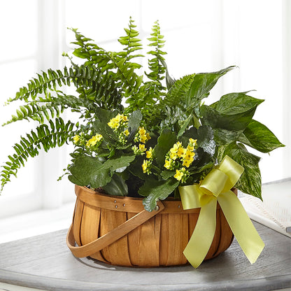 Always Dear Dishgarden – C & D FLORAL LTD, Pincher Creek AB