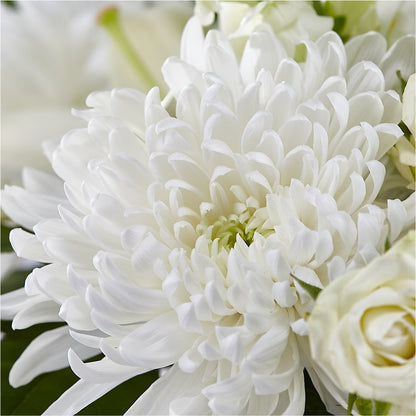 Classic Ivory – A Florist Original – C & D FLORAL LTD, Pincher Creek AB