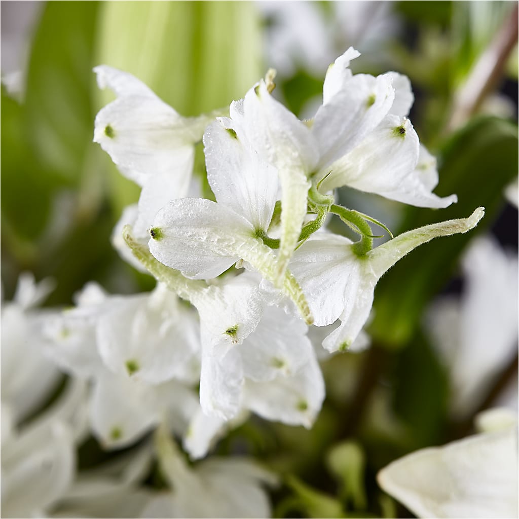 Classic Ivory – A Florist Original – C & D FLORAL LTD, Pincher Creek AB