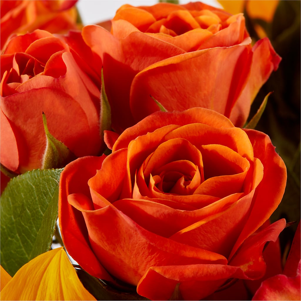 Picnic in the Park Bouquet – C & D FLORAL LTD, Pincher Creek AB