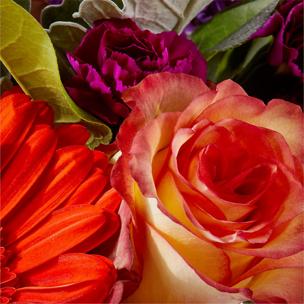Sangria Bouquet – C & D FLORAL LTD, Pincher Creek AB
