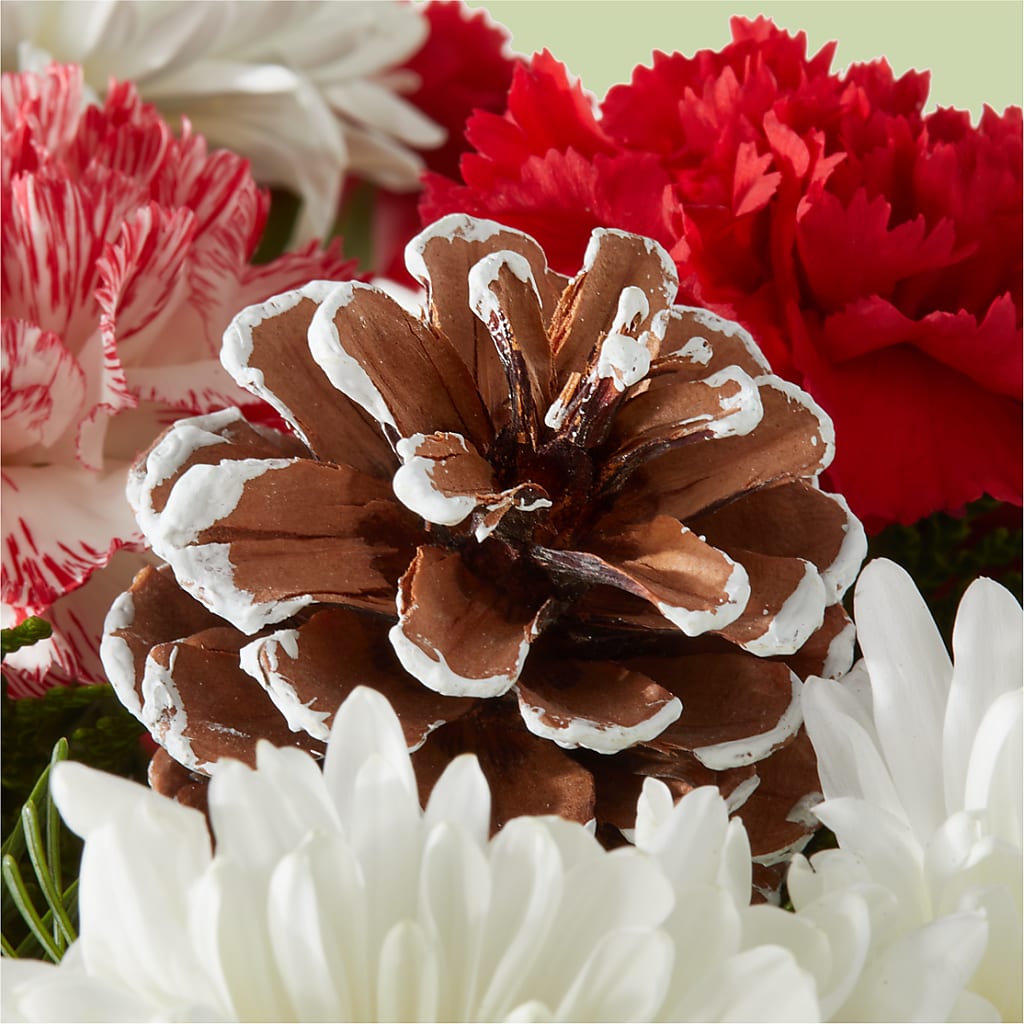 Candy Cane Lane Bouquet – C & D FLORAL LTD, Pincher Creek AB