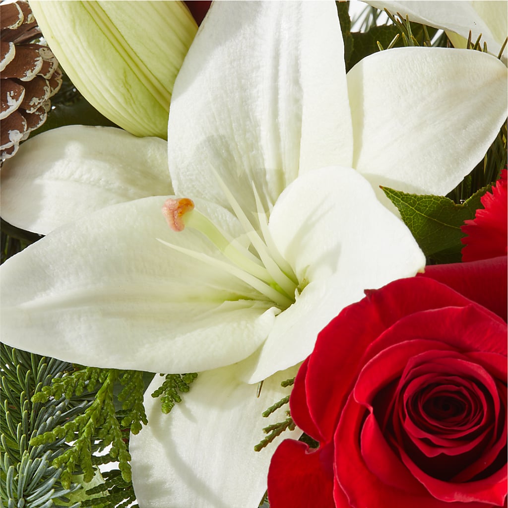 Oh So Jolly Bouquet – C & D FLORAL LTD, Pincher Creek AB