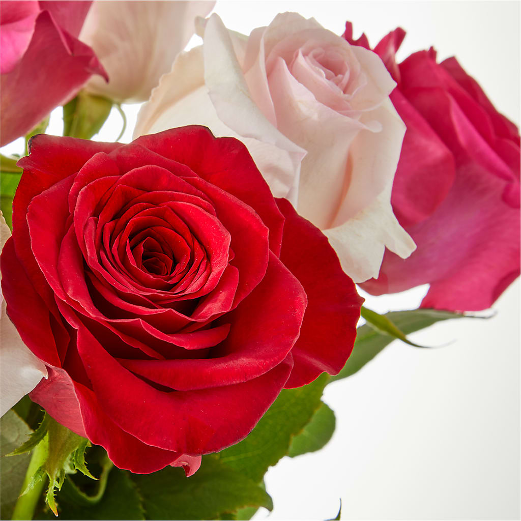 Charming Rose Bouquet – C & D FLORAL LTD, Pincher Creek AB