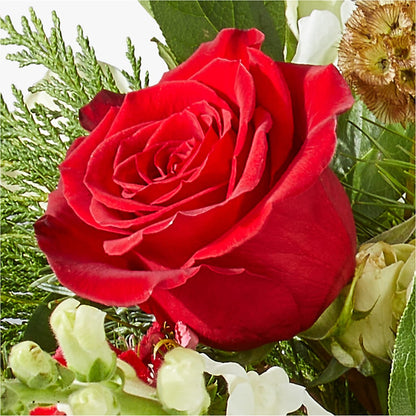 Deck the Halls Bouquet – C & D FLORAL LTD, Pincher Creek AB