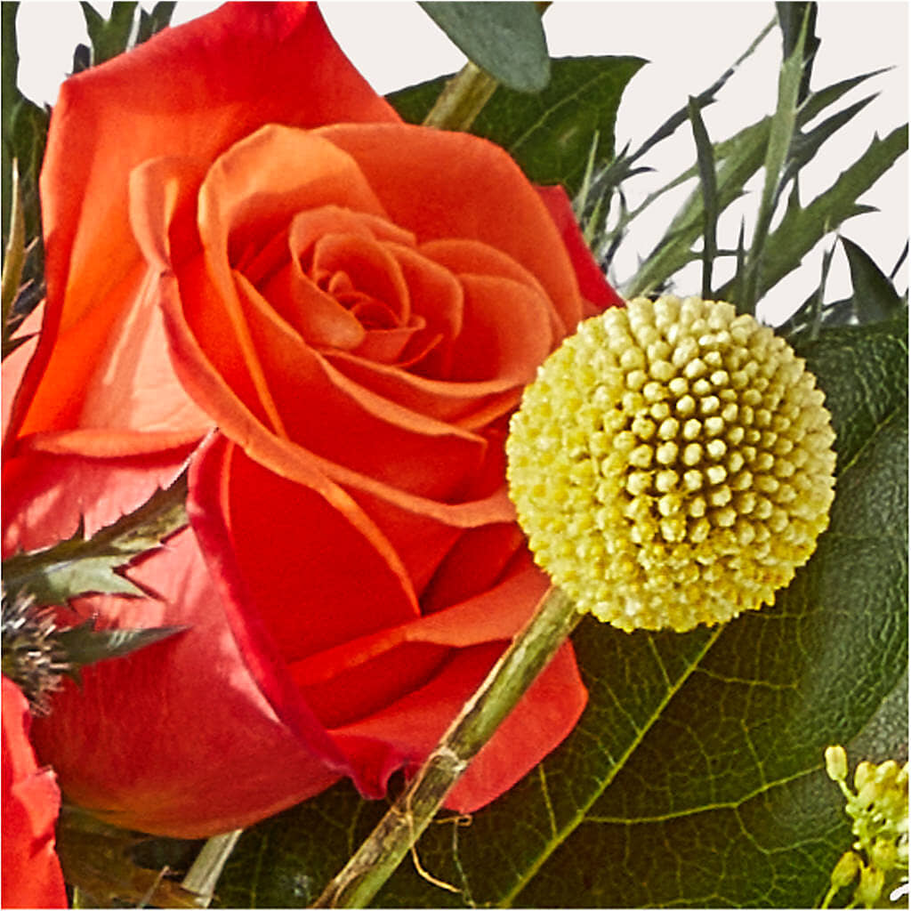 Disco Bouquet – C & D FLORAL LTD, Pincher Creek AB