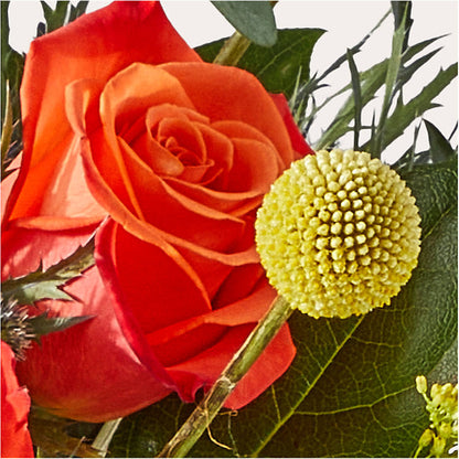 Disco Bouquet – C & D FLORAL LTD, Pincher Creek AB