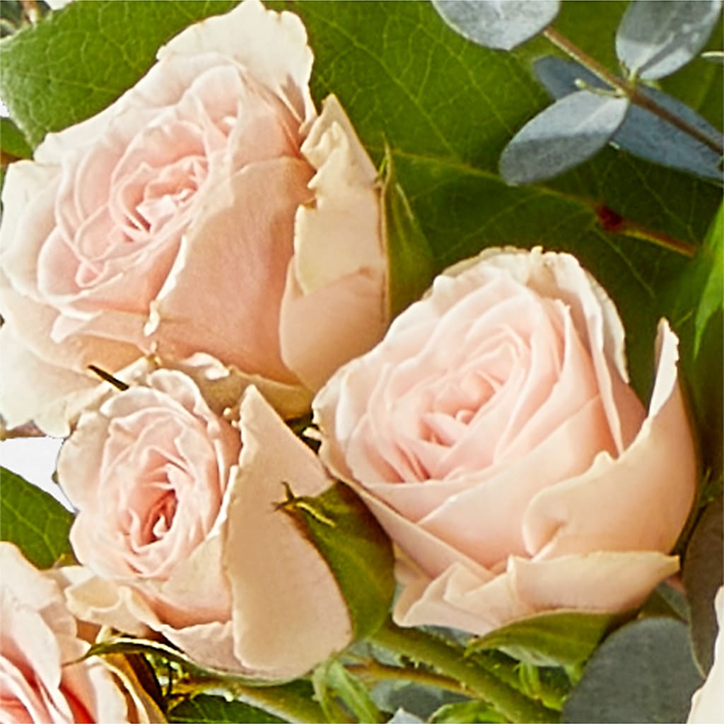 Inspired Bouquet – C & D FLORAL LTD, Pincher Creek AB