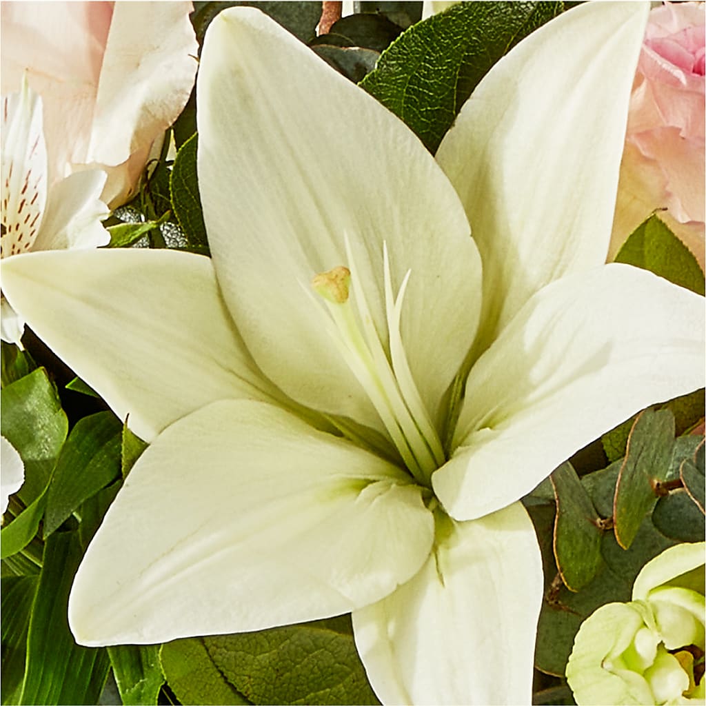 Ballet Slippers Bouquet – C & D FLORAL LTD, Pincher Creek AB
