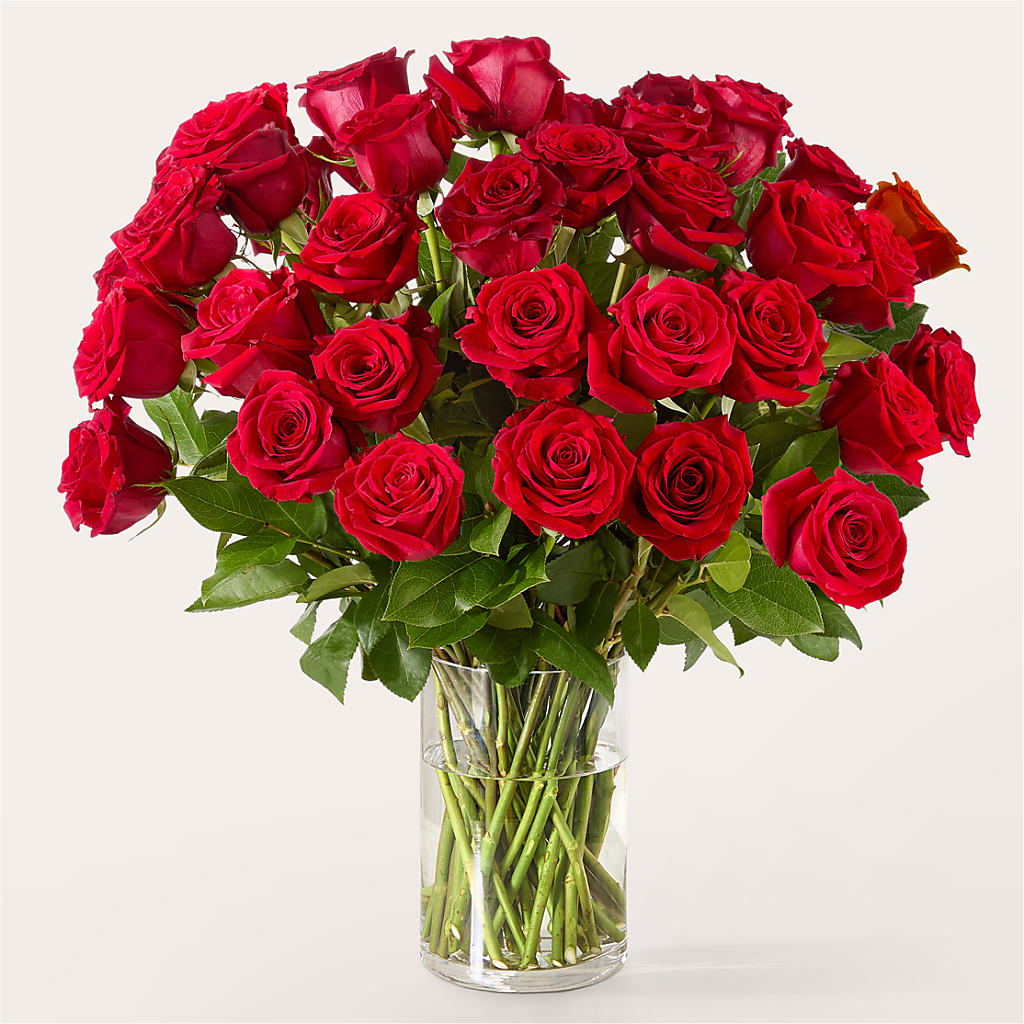 The One Red Rose Bouquet – C & D FLORAL LTD, Pincher Creek AB