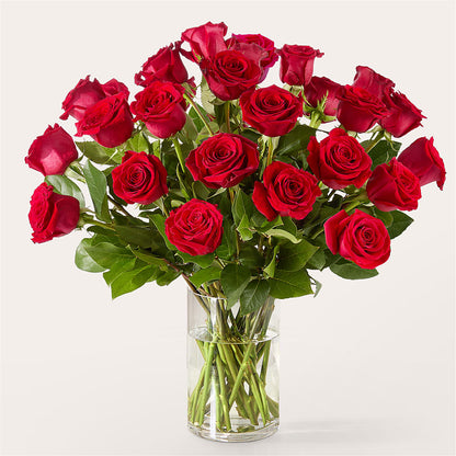 The One Red Rose Bouquet – C & D FLORAL LTD, Pincher Creek AB