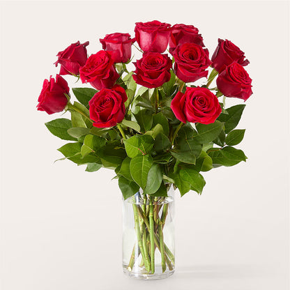 The One Red Rose Bouquet – C & D FLORAL LTD, Pincher Creek AB