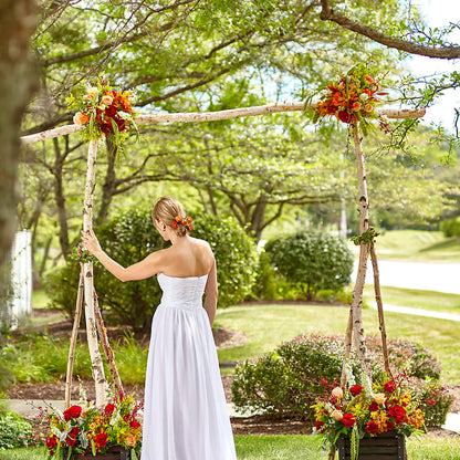 Arbor of Love Archway – C & D FLORAL LTD, Pincher Creek AB